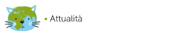 Categorie del prodotto