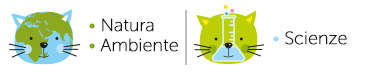 Categorie del prodotto